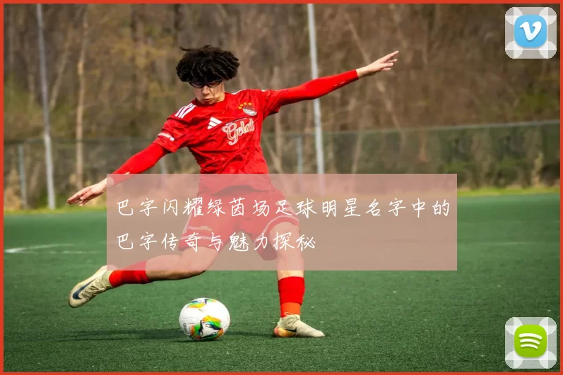 巴字闪耀绿茵场足球明星名字中的巴字传奇与魅力探秘