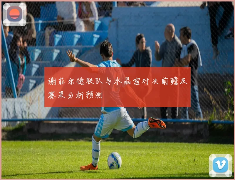谢菲尔德联队与水晶宫对决前瞻及赛果分析预测