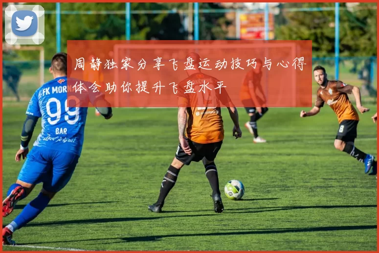 周静独家分享飞盘运动技巧与心得体会助你提升飞盘水平
