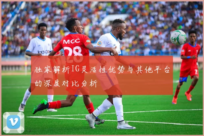 独家解析IG灵活性优势与其他平台的深度对比分析