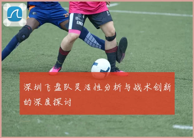 深圳飞盘队灵活性分析与战术创新的深度探讨