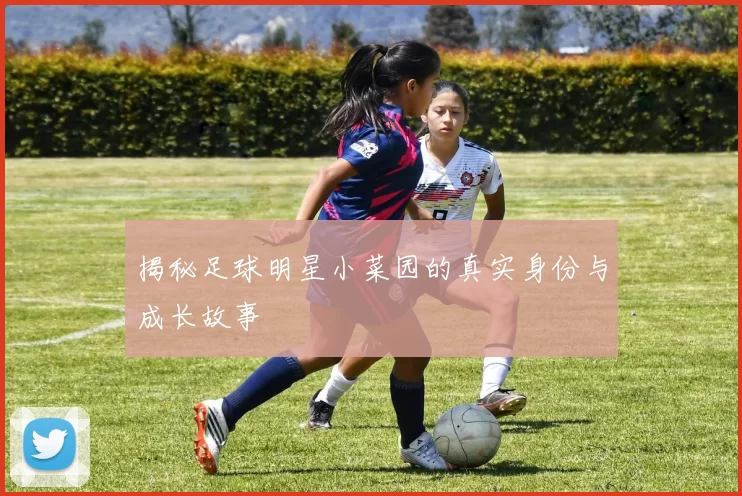 揭秘足球明星小菜园的真实身份与成长故事