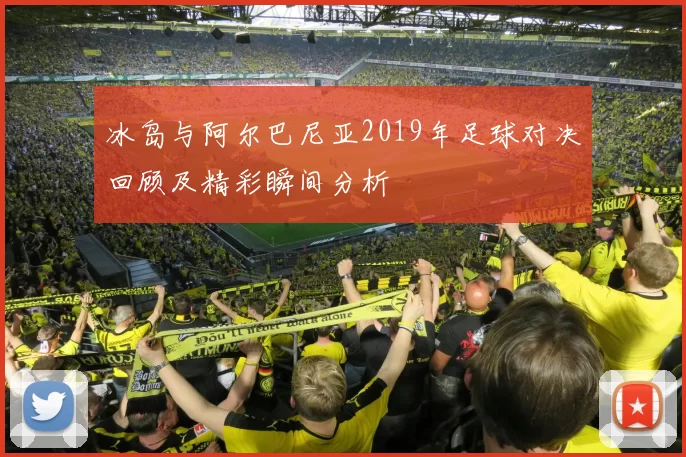 冰岛与阿尔巴尼亚2019年足球对决回顾及精彩瞬间分析