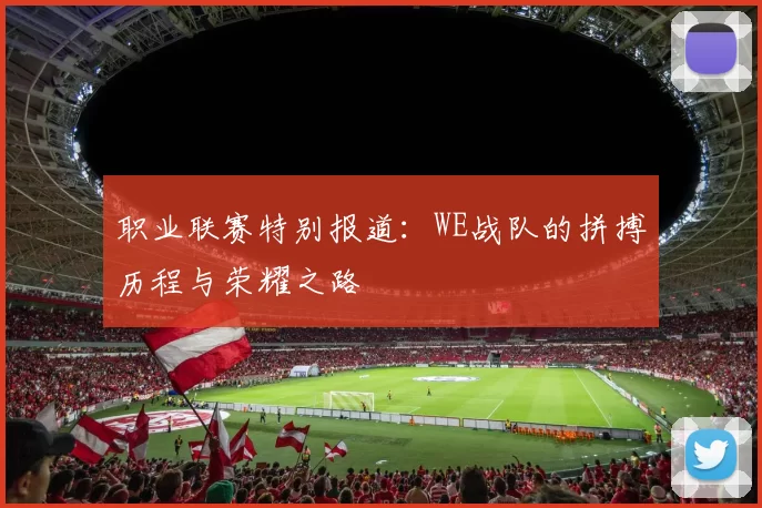 职业联赛特别报道：WE战队的拼搏历程与荣耀之路